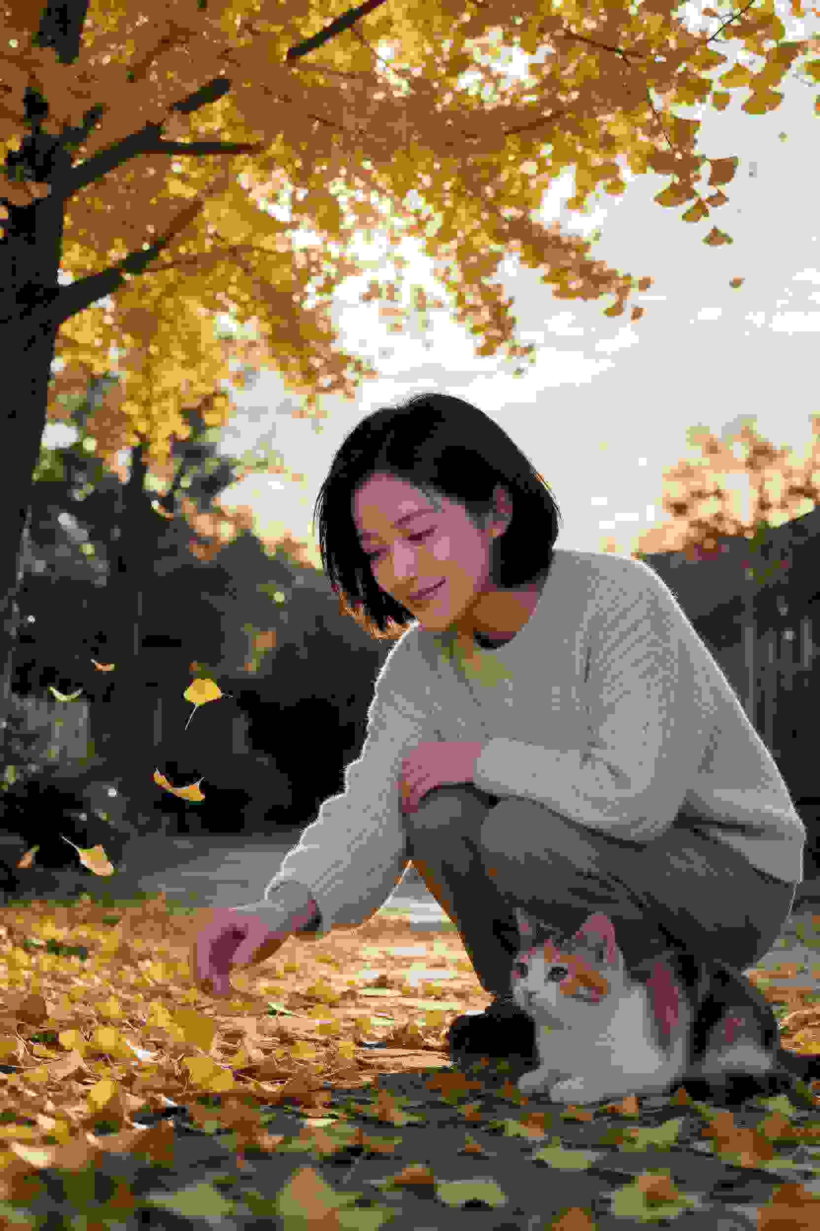 贪婪之岛